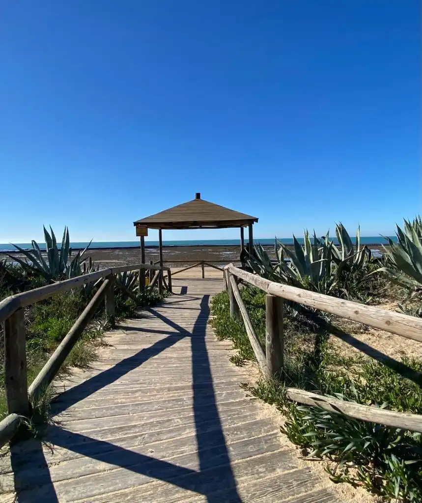 Maison à vendre à La Laguna, imagen 9