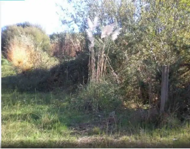 Terreno rustico in vendita a Camiño Tombo 9, imagen 4