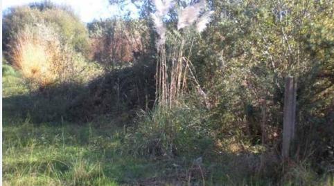 Foto 4 de Terreno en venta en Camiño Tombo, 9, Sanxenxo pueblo, Sanxenxo