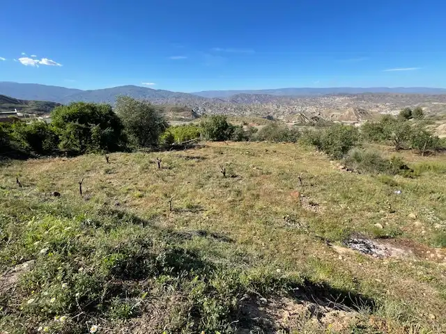 Terreno rústico en venta en Paraje los Molinicos 1, imagen 5