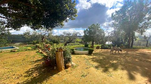 Photo 4 of Country homes for sale in De las Huertas, El Viso del Alcor, Sevilla