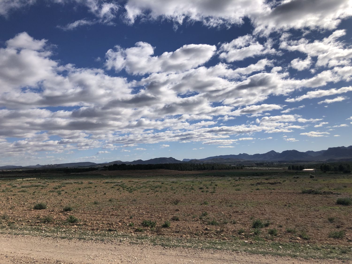 Country house for sale in Hellín