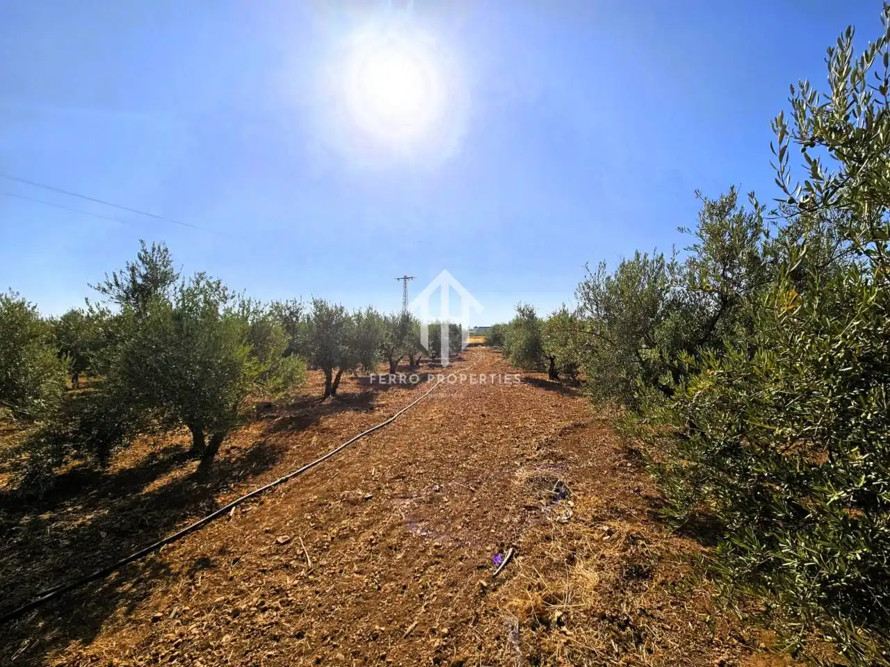 Terreni e lotti in vendita a Moraleda de Zafayona, imagen 51