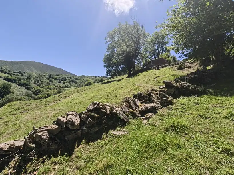 Terreno rustico in vendita a Proaza, imagen 46