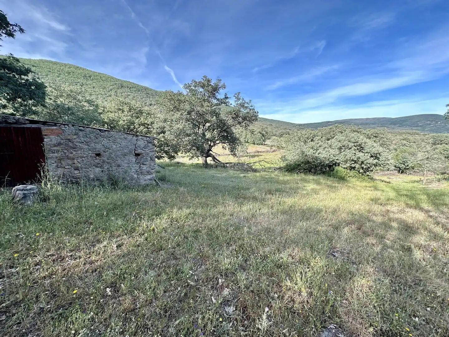 Terreni e lotti in vendita a Malpartida de Plasencia, imagen 4