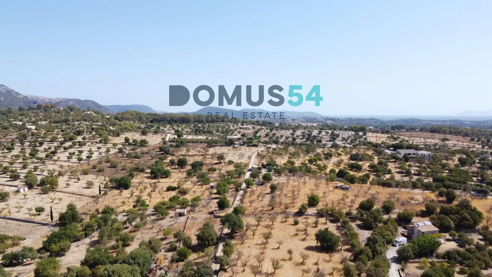 Land for sale in Selva