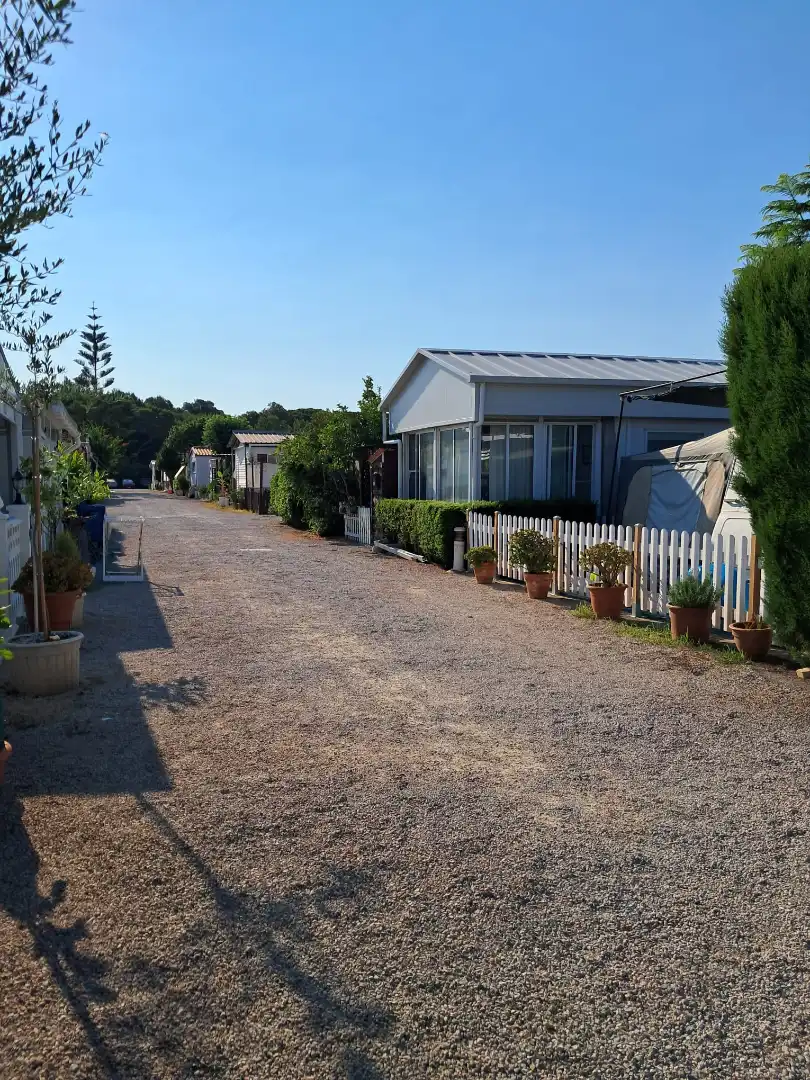 Vista exterior de Terreno en venta en Valencia