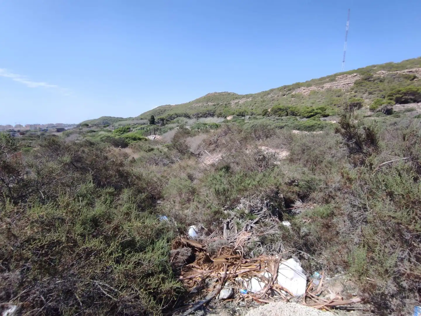 Terreno rustico in vendita a Partida los secanos, imagen 4