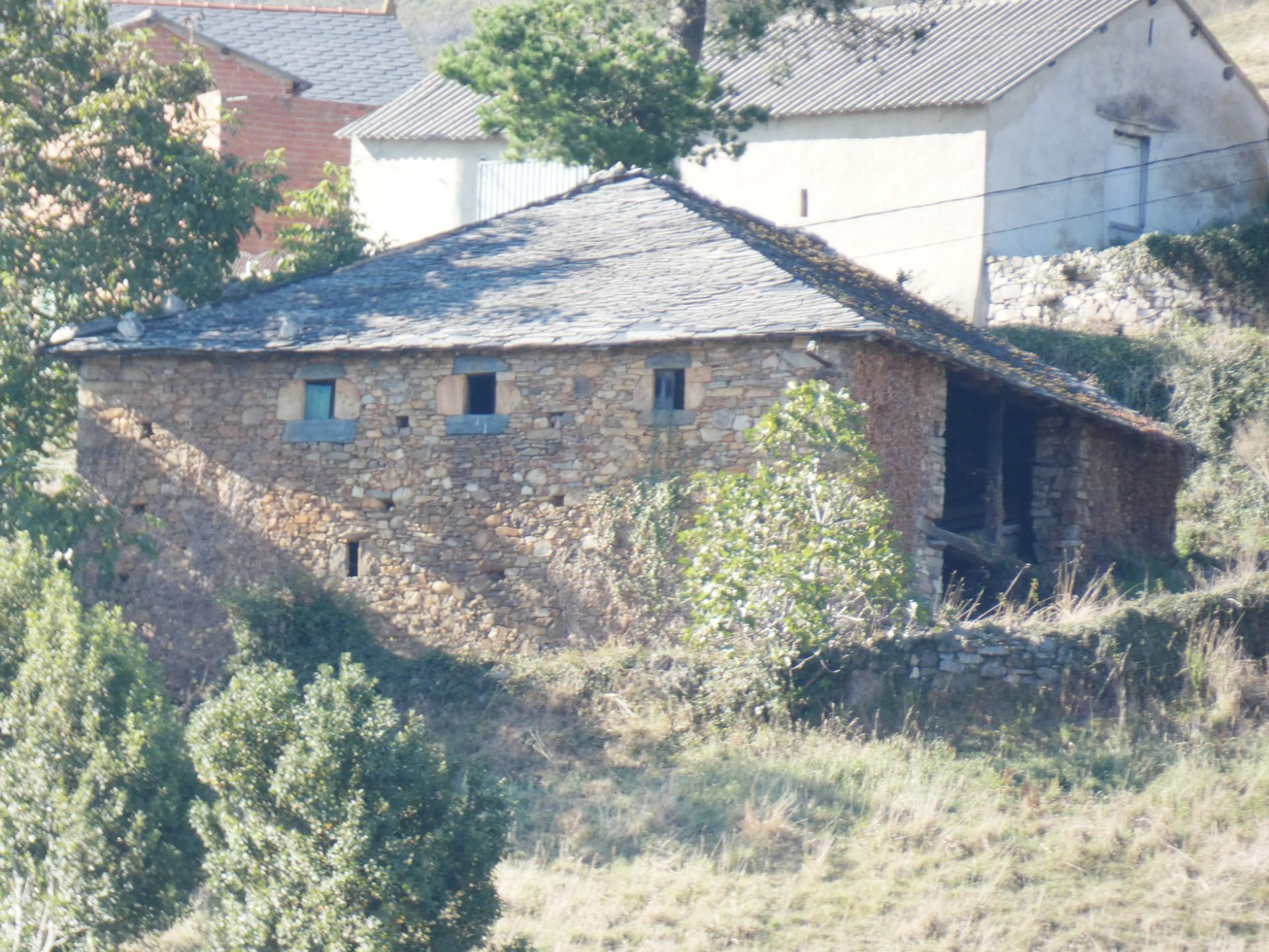 Vista exterior de Casa o xalet en venda en Tineo