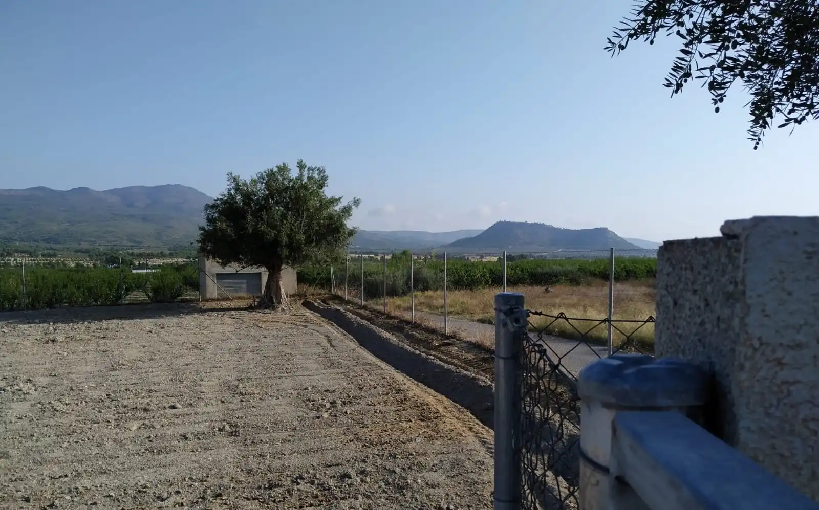 Terreni e lotti in vendita a FINCA, imagen 7