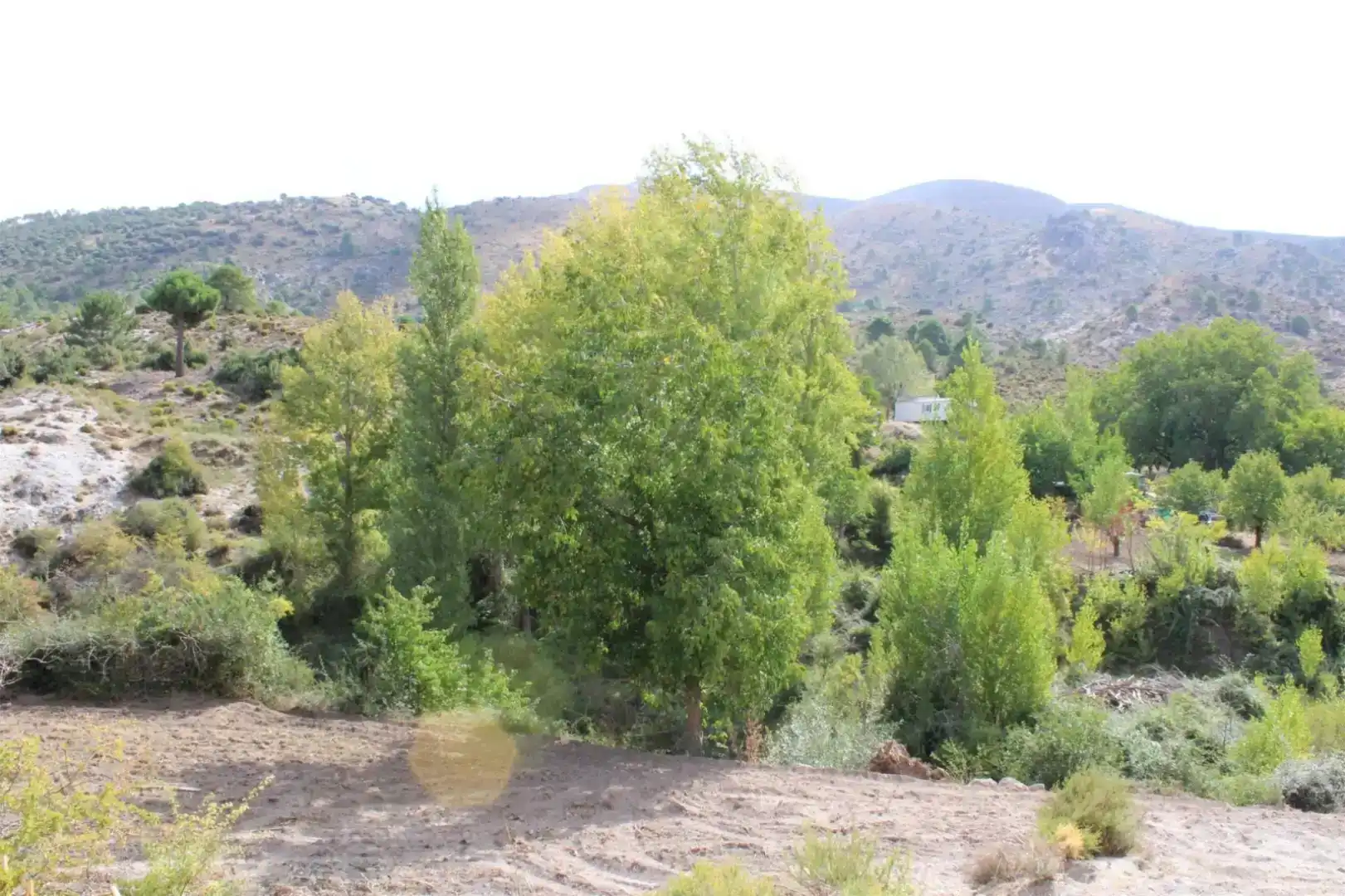Finca rústica en venta en Quéntar