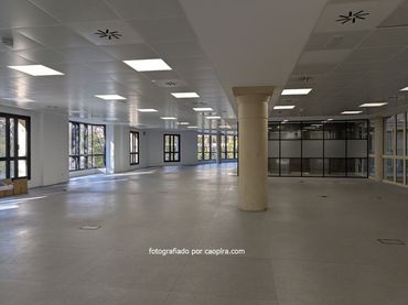 Büro mit Aufzug zur Miete in ausias marc