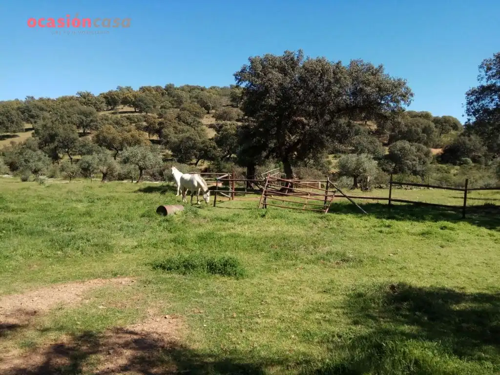 Villa mit Garten zum Verkauf in Pozoblanco, imagen 47