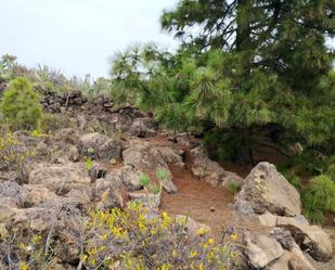 Jardí de Garatge en venda en San Miguel de Abona