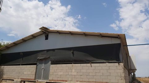 Foto 5 von Fabrikhallen zum Verkauf in La Pinilla - Las Palas, Fuente Álamo de Murcia