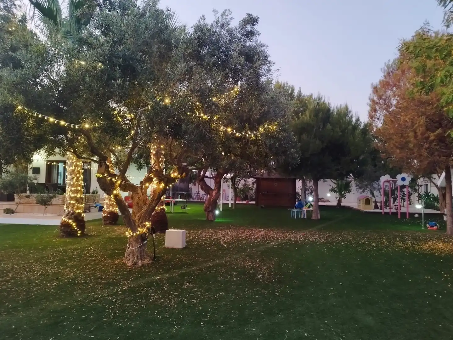 Garden of Country homes for rent in Torre-Pacheco  with Furnished