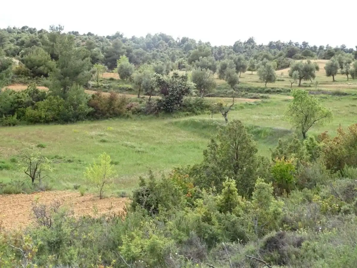 Finca rústica en venta en Cretas