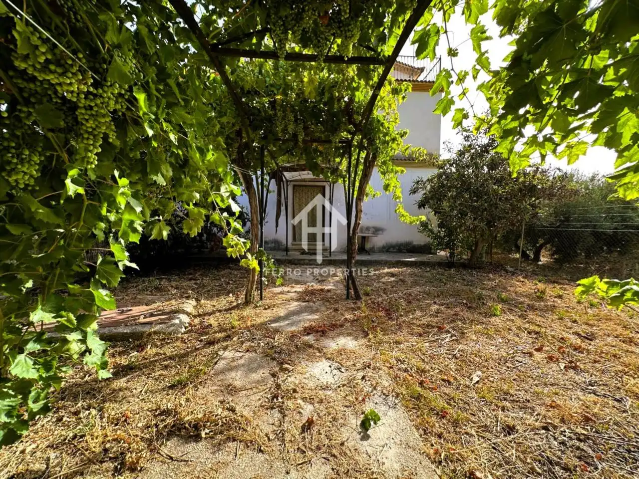 Jardí de Casa o xalet en venda en Algarinejo amb Jardí privat, Terrassa i Moblat