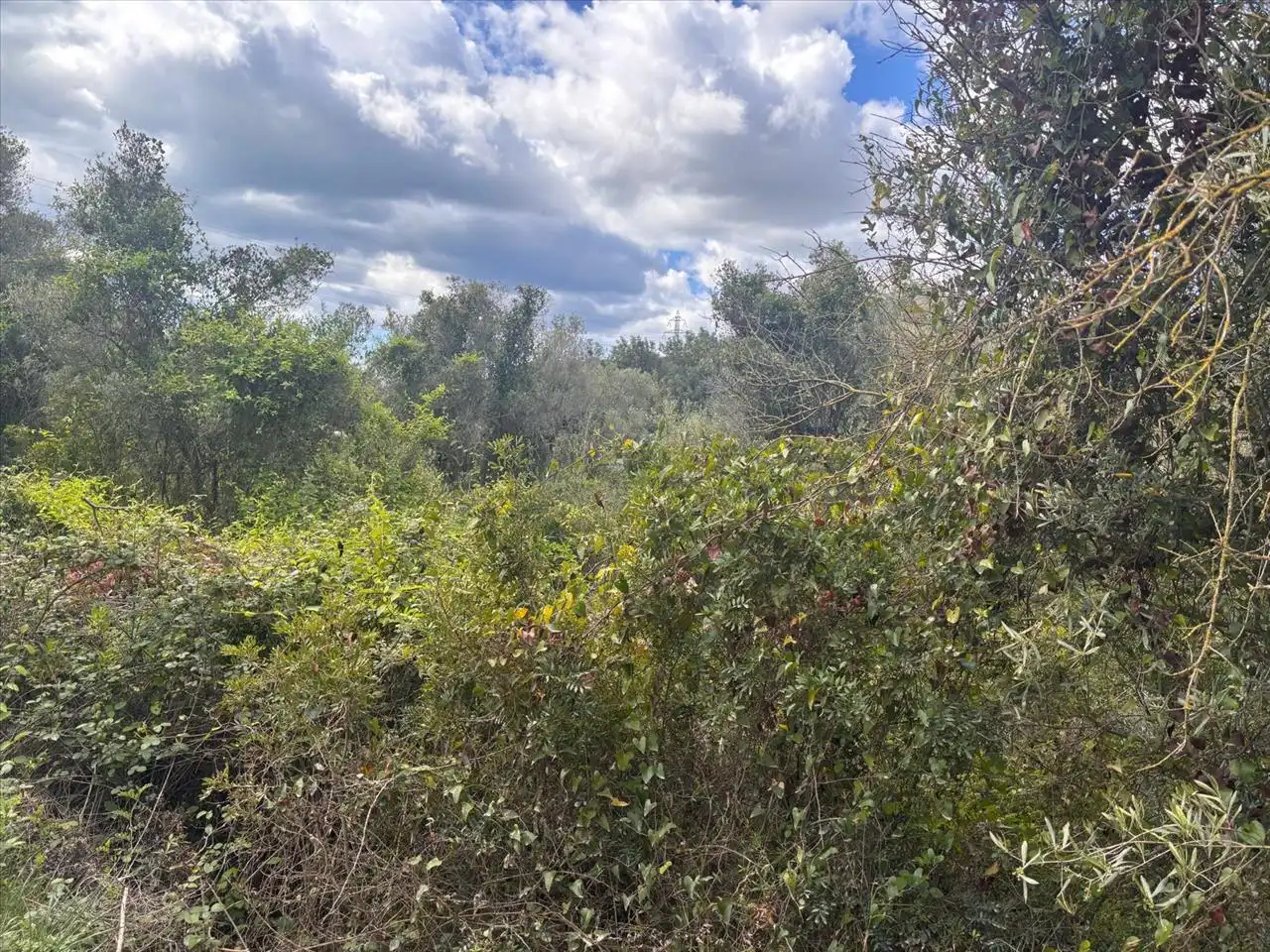 Residential land for sale in Fondo Masia D'En Perris, Urb. Mas Tapet, imagen 6