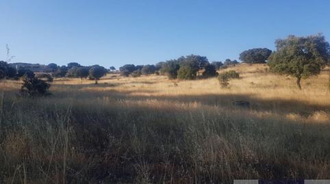 Photo 5 of Country house for sale in Las Vegas - El Pozanco - Adelfillas, Madrid