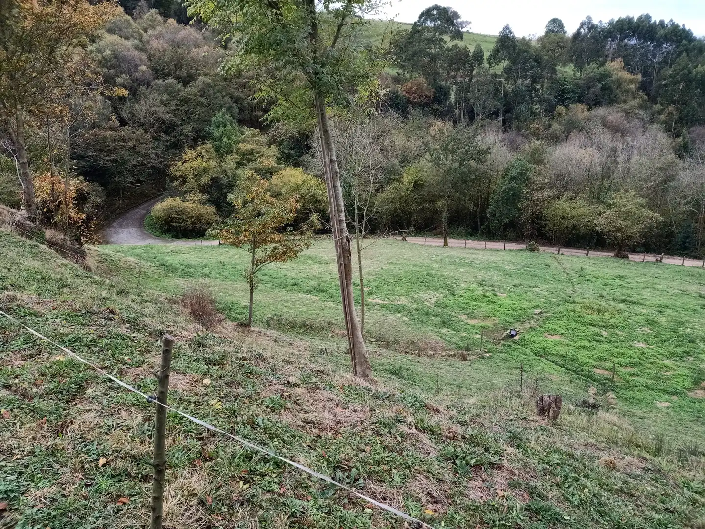 Terreny rústic en venda a Camín de Huerces 9, imagen 7