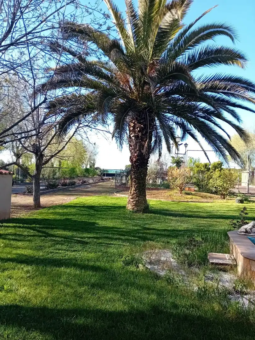 Garden of Houses for sale in Ciudad Real  with Air Conditioner, Heating and Private garden