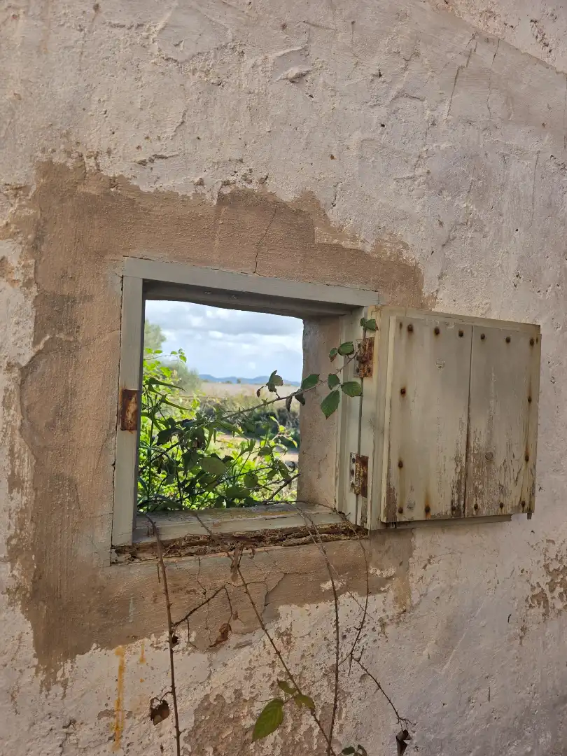 Balcony of Land for sale in Porreres