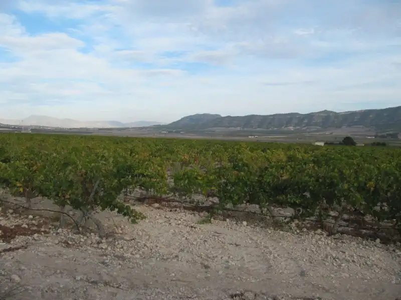 Wohnbaugrundstück zum Verkauf in Salinas