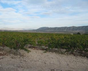 Exterior view of Industrial land for sale in Salinas