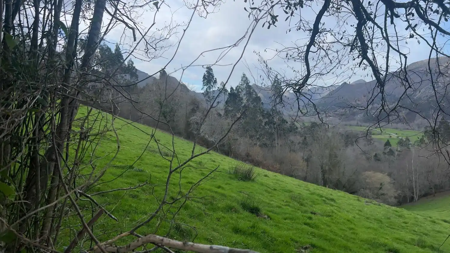 Residencial en venda en Llanes