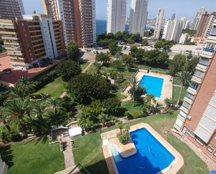 Swimming pool of Flat to rent in Benidorm  with Terrace and Swimming Pool