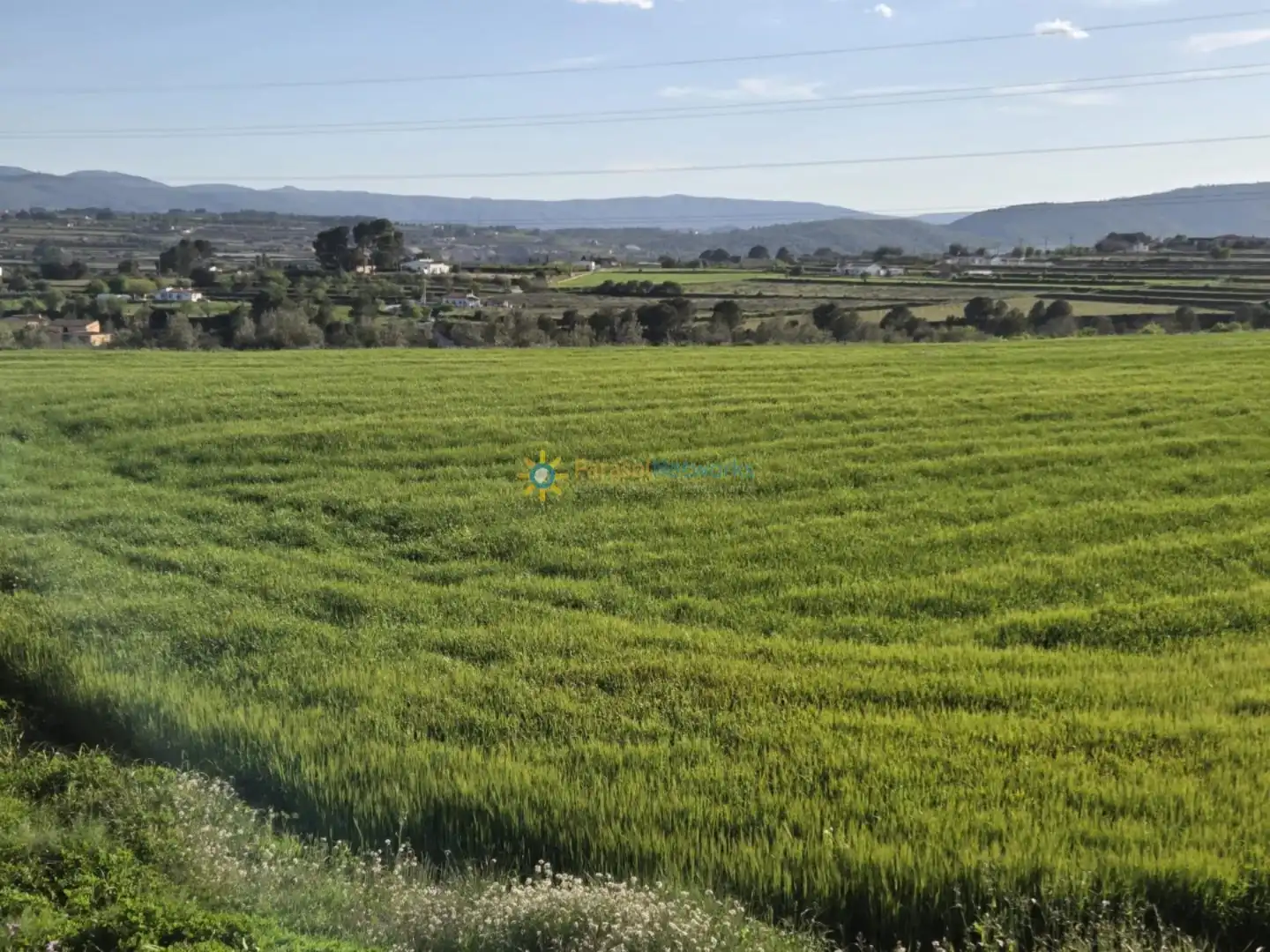 Terreny rústic en venda a L'Olleria, imagen 12
