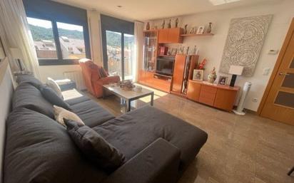 Living room of Flat for sale in Santa Coloma de Farners