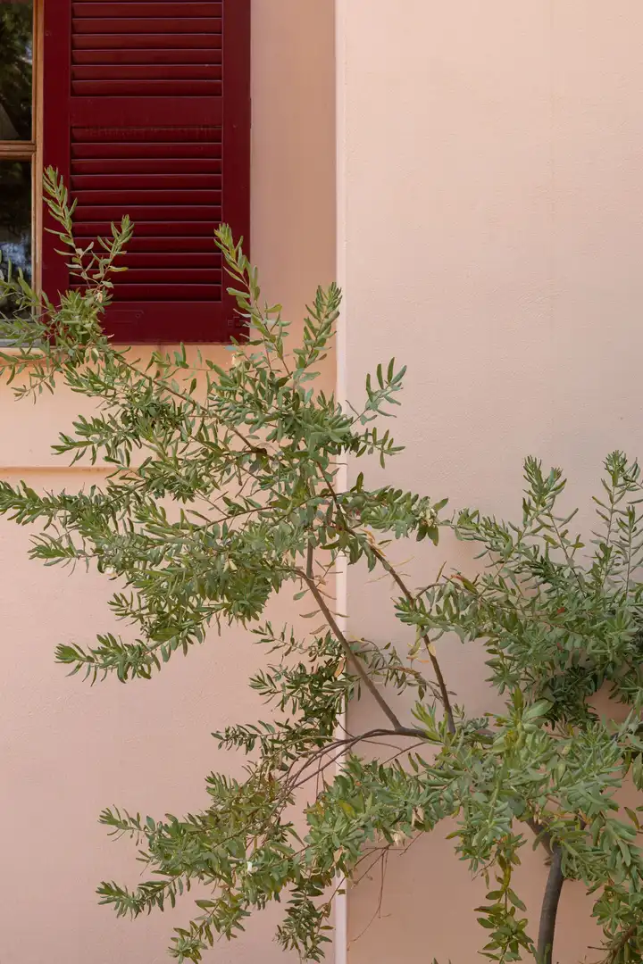 Villa à vendre à Esporles, imagen 42