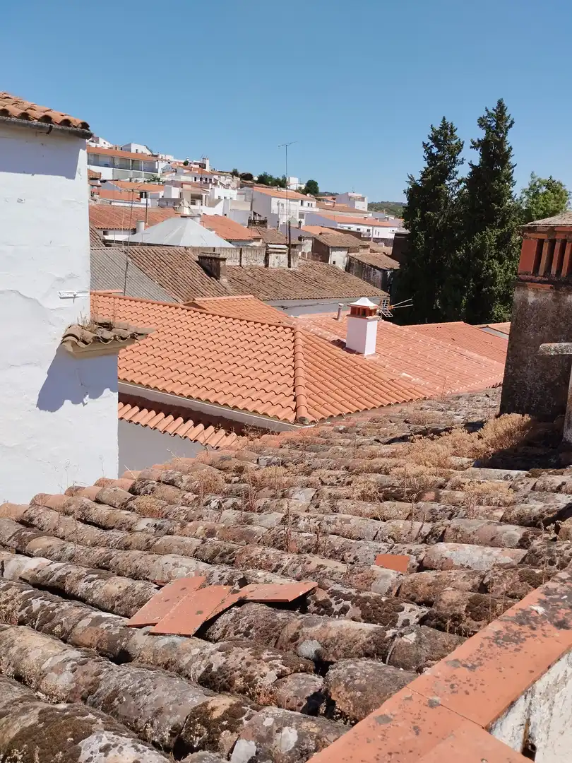 House with terrace for sale in Calle Pepe Ramírez, imagen 21