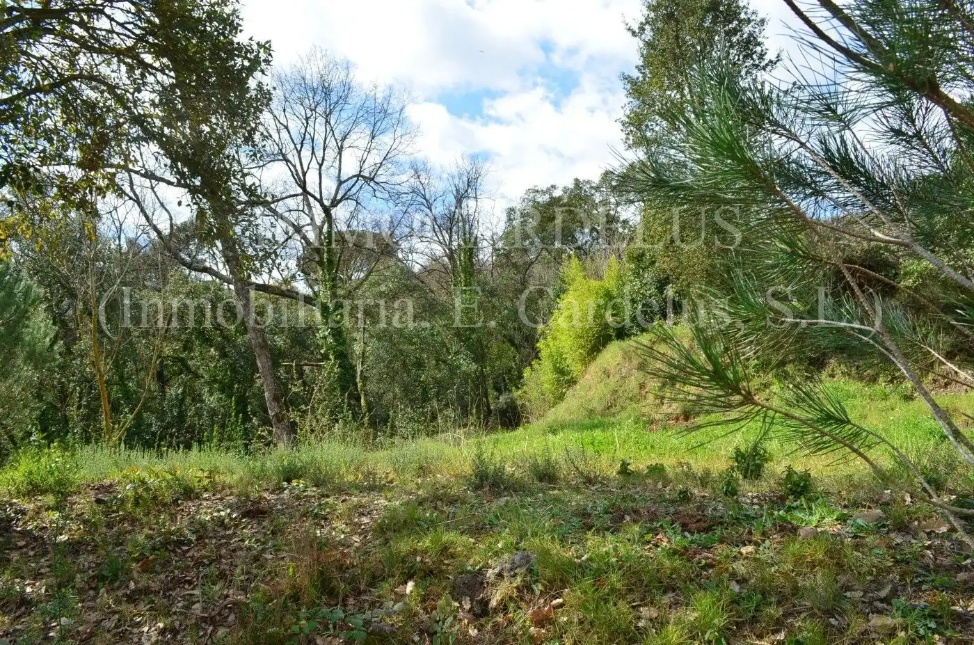 Terreny residencial en venda a Riells i Viabrea, imagen 15