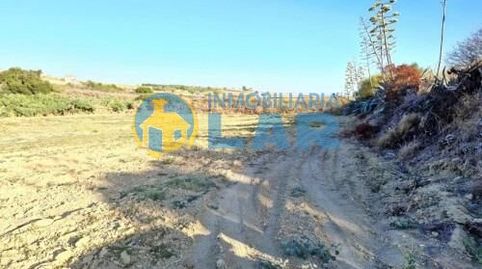Finca Rústica entre Moguer y Palos, immagine 3