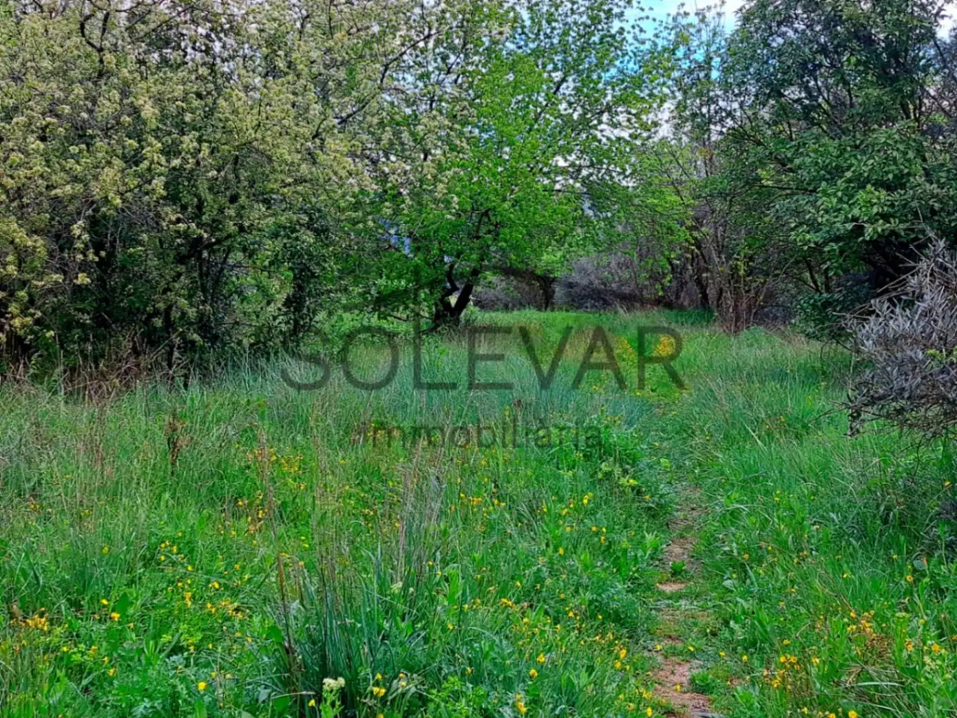 Residential land for sale in Únic, imagen 7