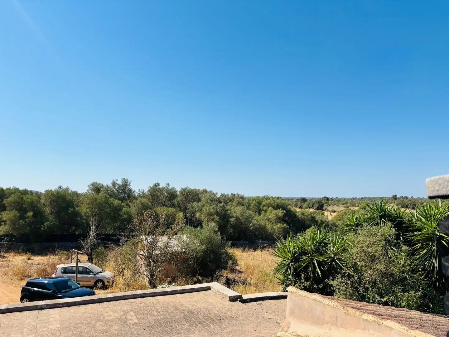 Finca rústica en venda a Felanitx Poble