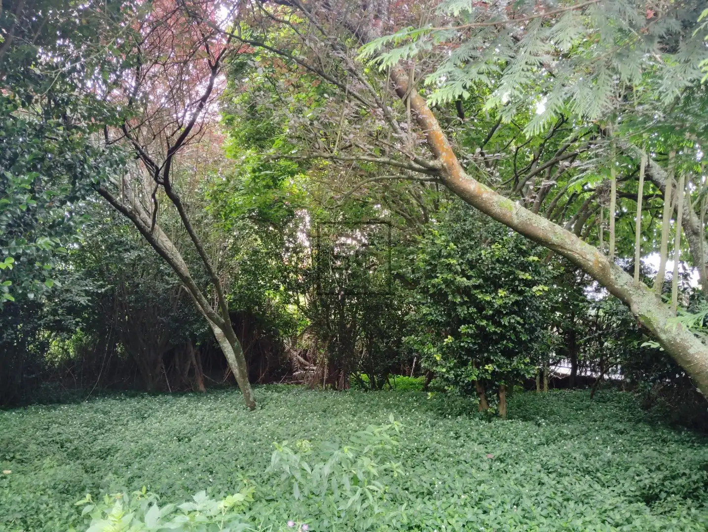 Casa amb jardí en venda a CABALO BRANCO, imagen 9