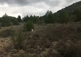 Terreni e lotti in vendita a Hellín, imagen 4