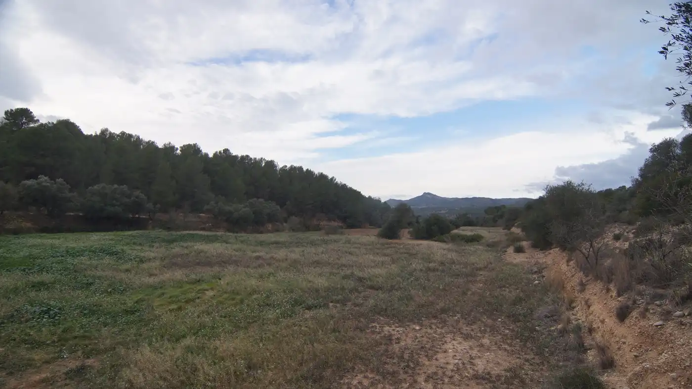 Terreno en venta en Móra la Nova