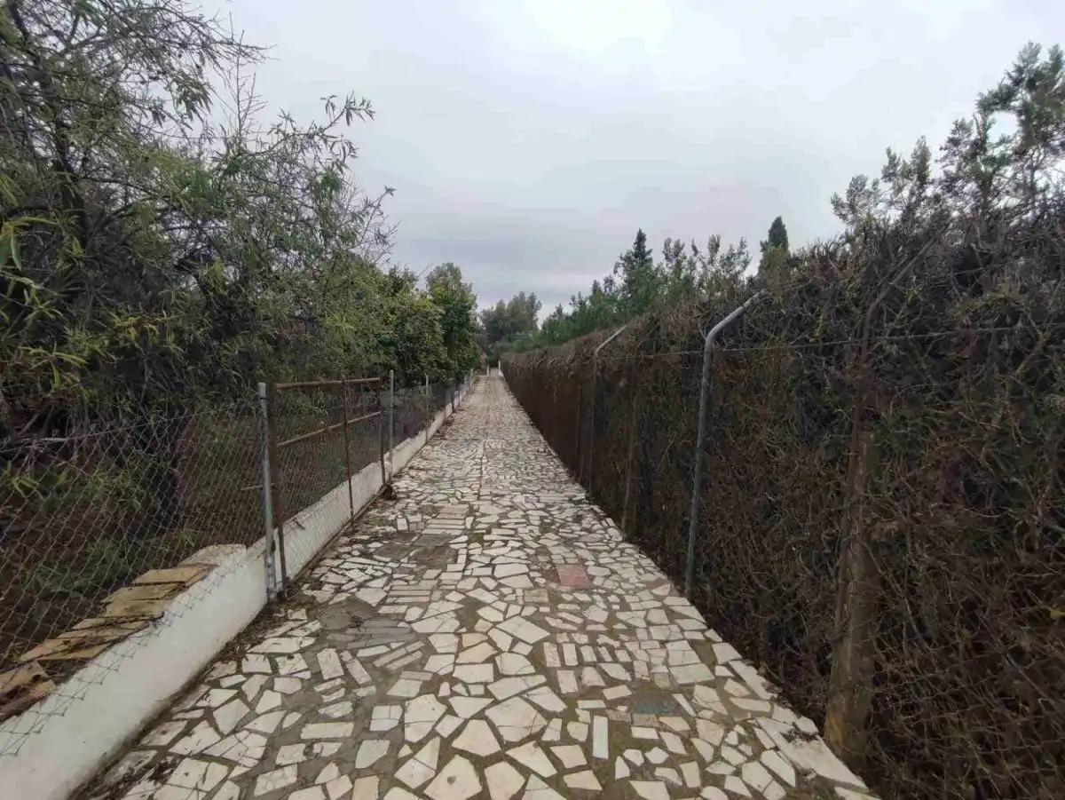 Chalet en venta en Olivares, imagen 2