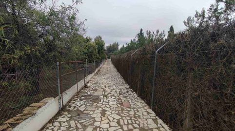 Chalet en venta en Olivares, 3 dormitorios., imagen 2
