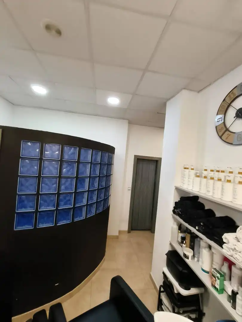 Commercial properties for rent in Campanar