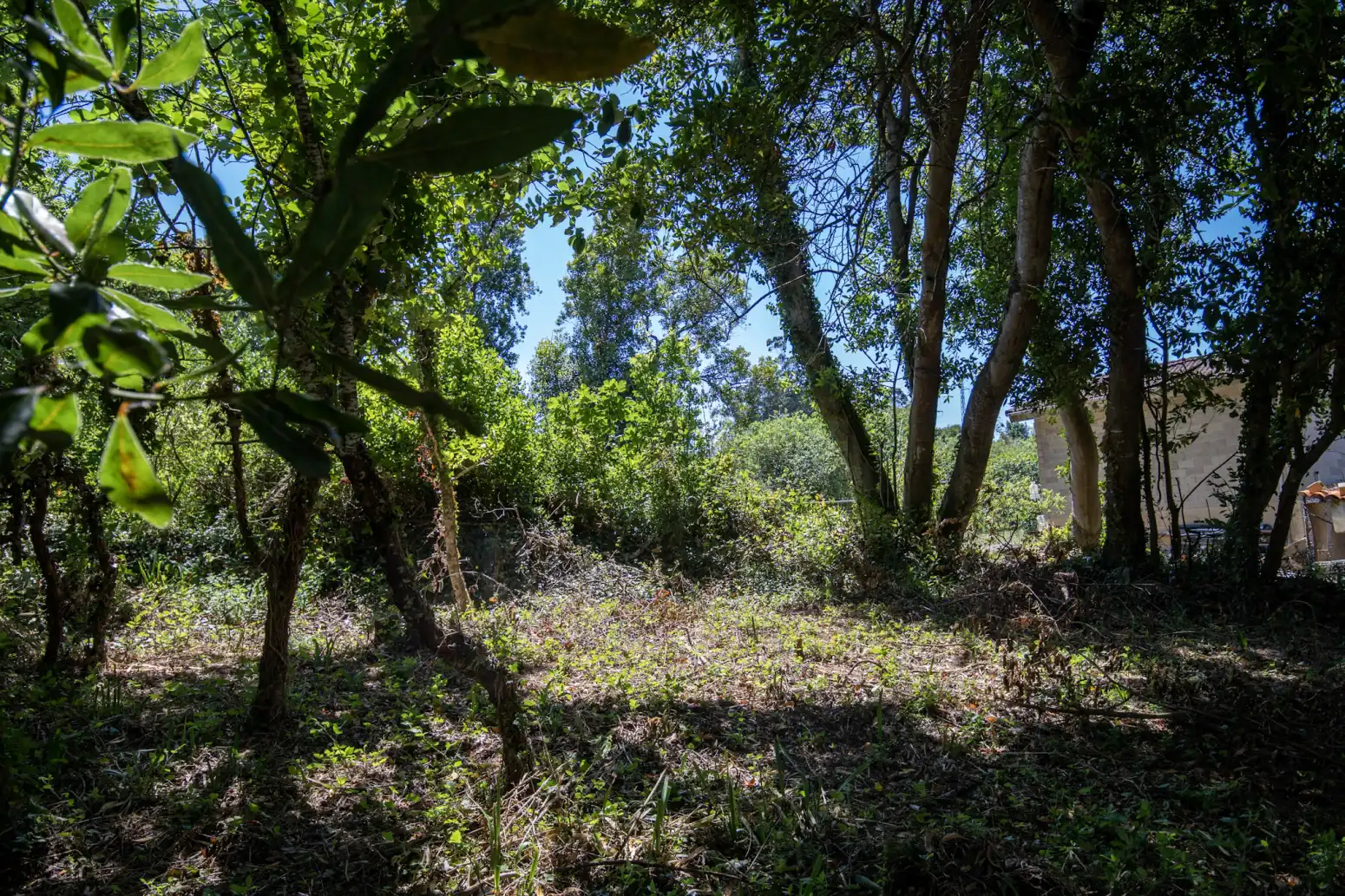 Terreno en venta en Villaviciosa