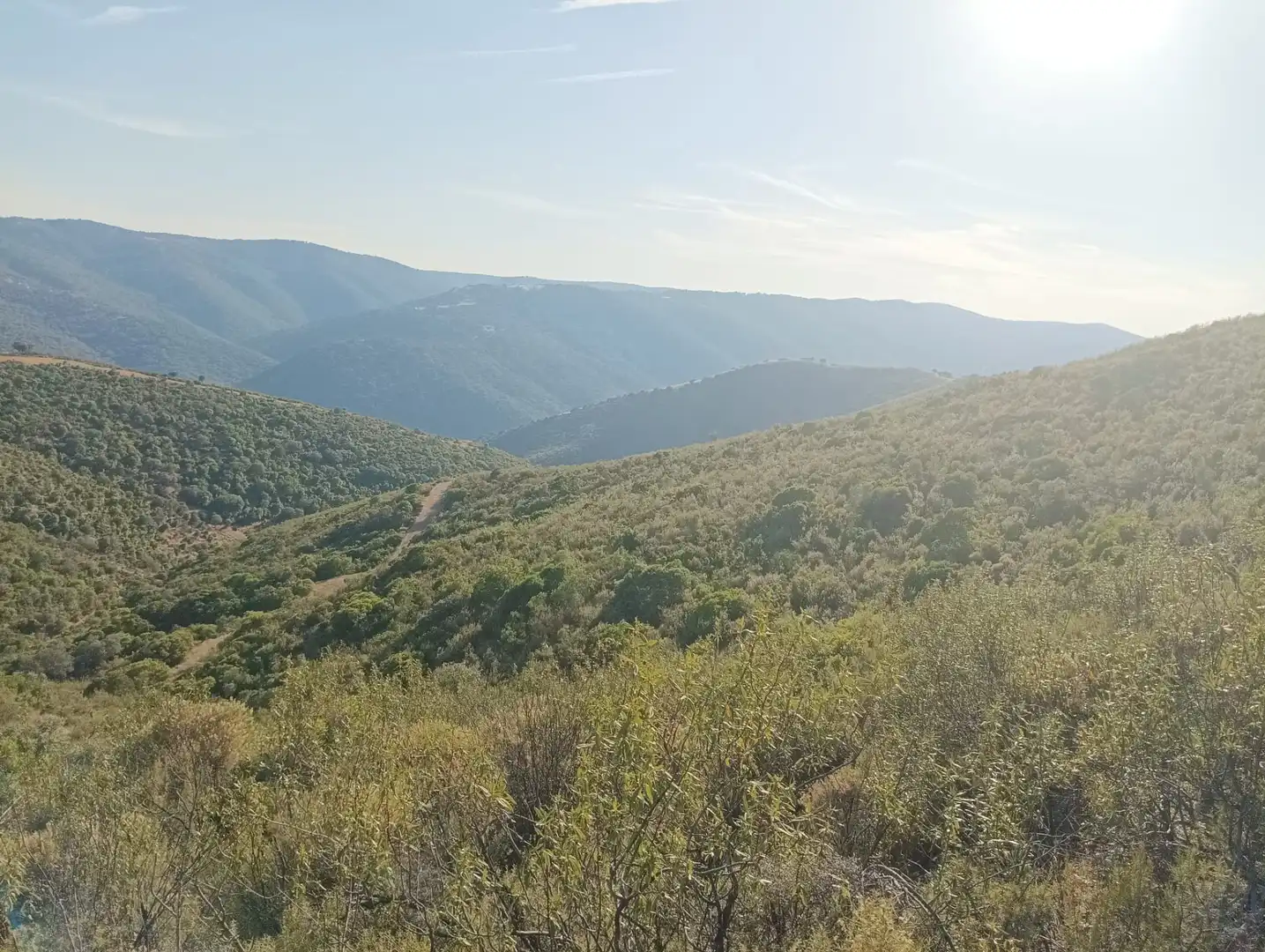 Land for sale in Córdoba