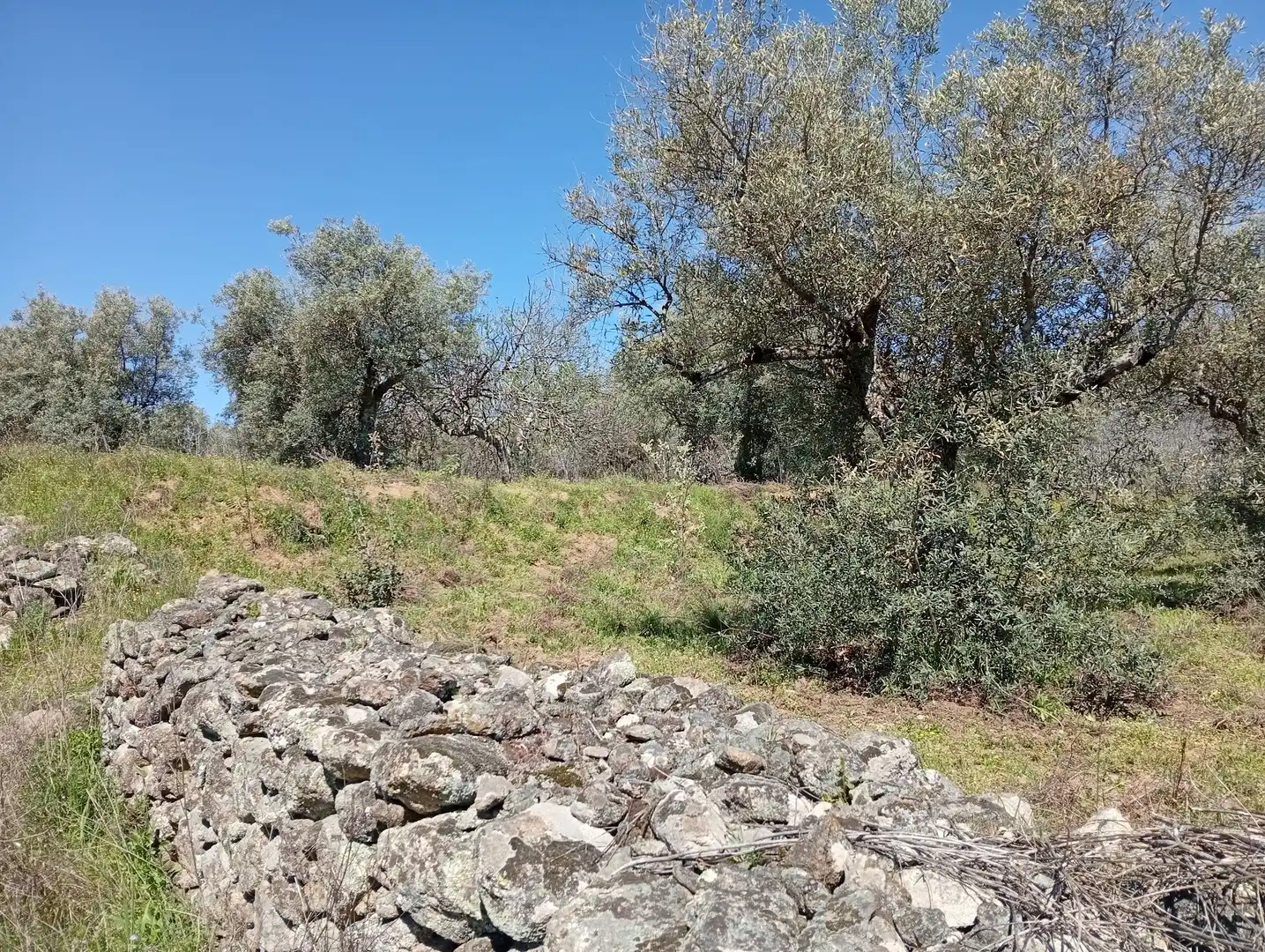 Terreni e lotti in vendita a Valverde de la Vera, imagen 62