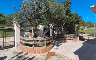 Jardí de Casa o xalet en venda en Aiguamúrcia amb Jardí privat, Terrassa i Traster