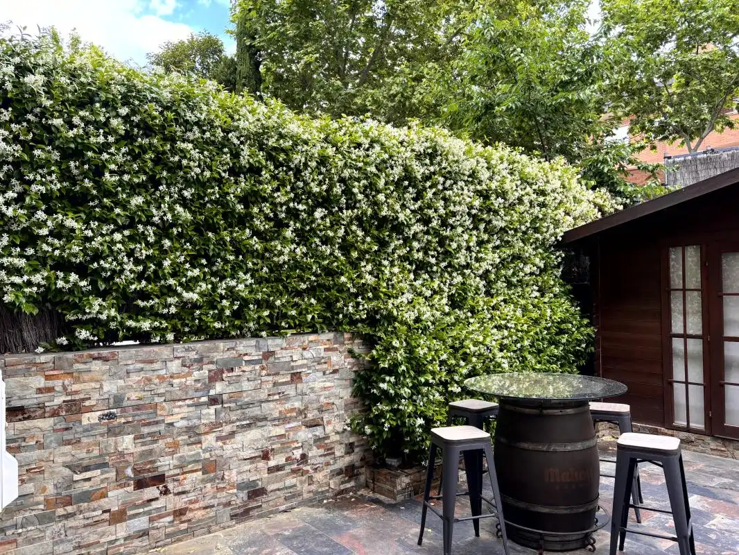 Jardí de Planta baixa en venda en Las Rozas de Madrid amb Aire condicionat, Calefacció i Jardí privat